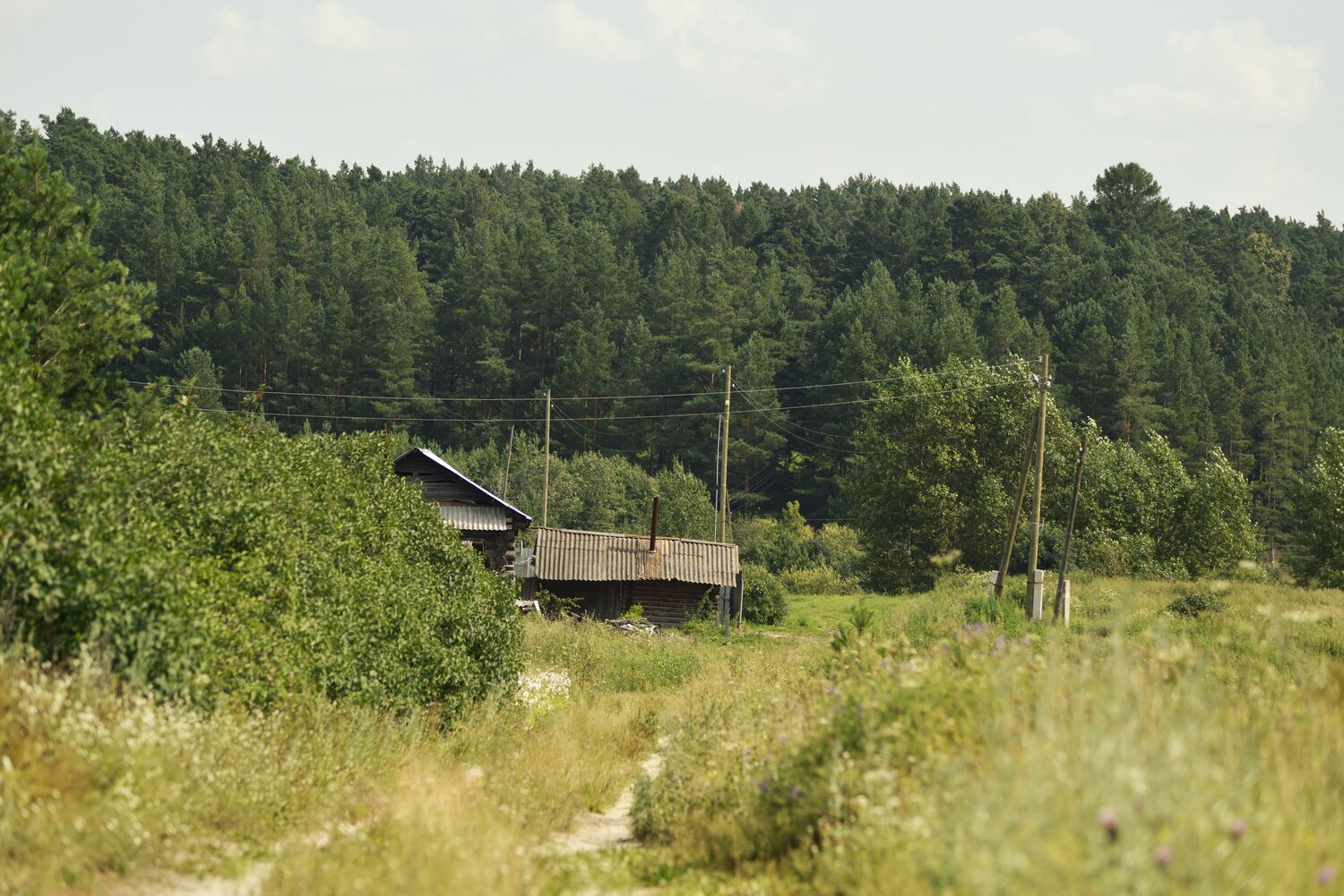 Photo #13821612