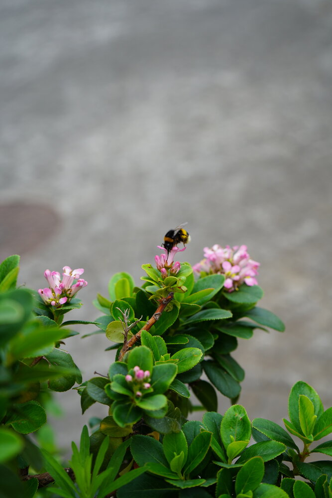 Photograph by Andrianova Natalia