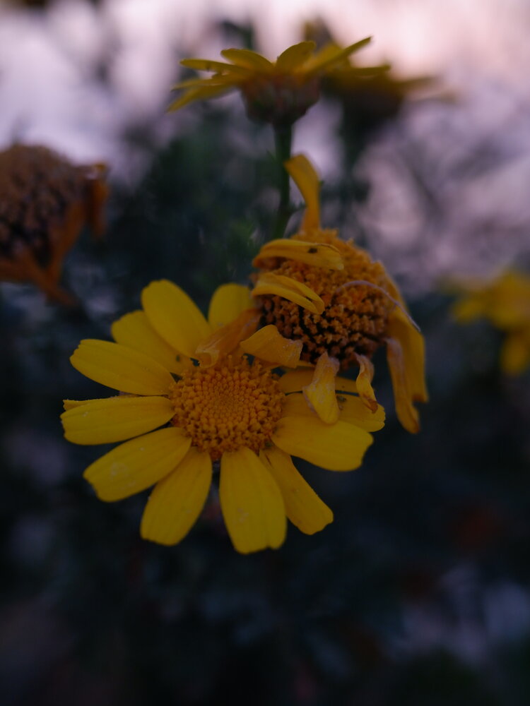 Photograph by Andrianova Natalia