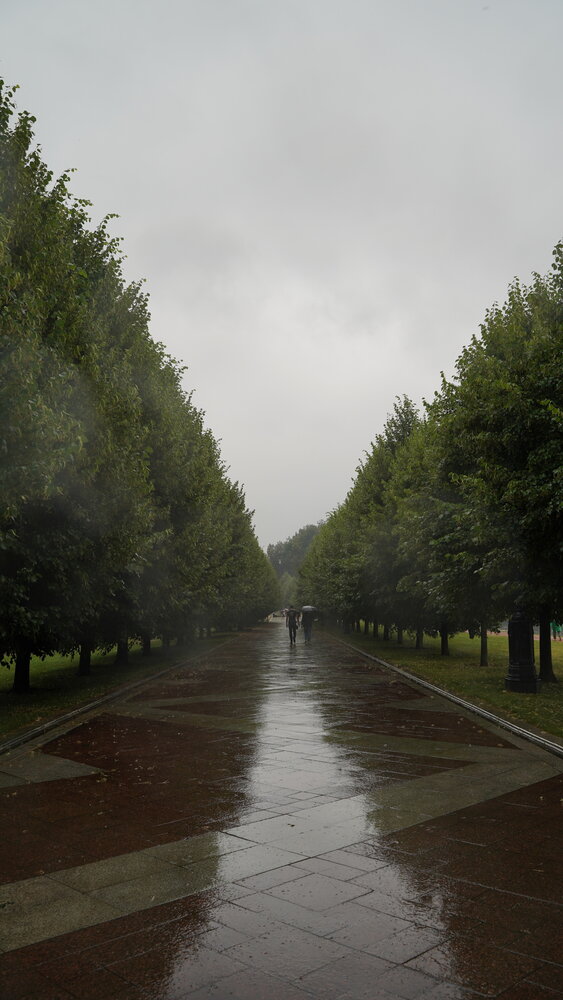 Фотография автора Алена Баулина