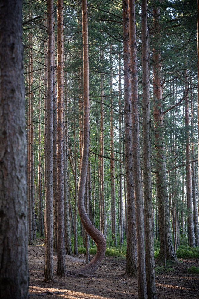 Photograph by Святослав Бондарук