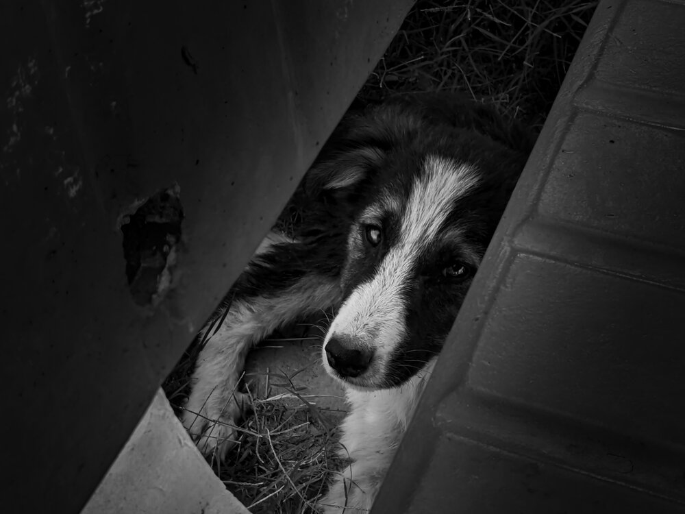 The deep eyes