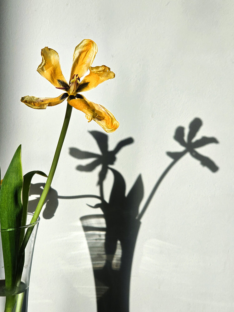 Photograph by Сергей Кесаев