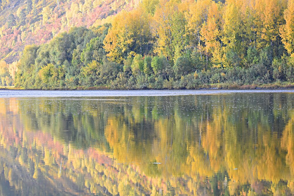 Photograph by Александр Прядко
