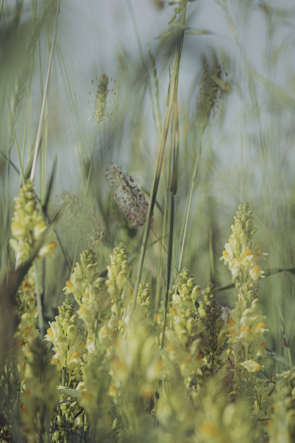 Photo #13822009