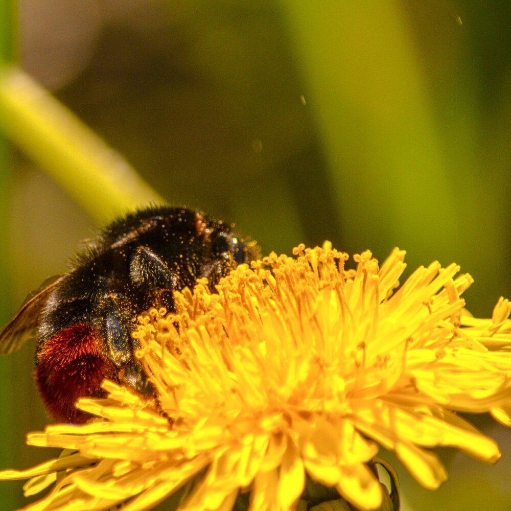 Photograph by Евгений Климов