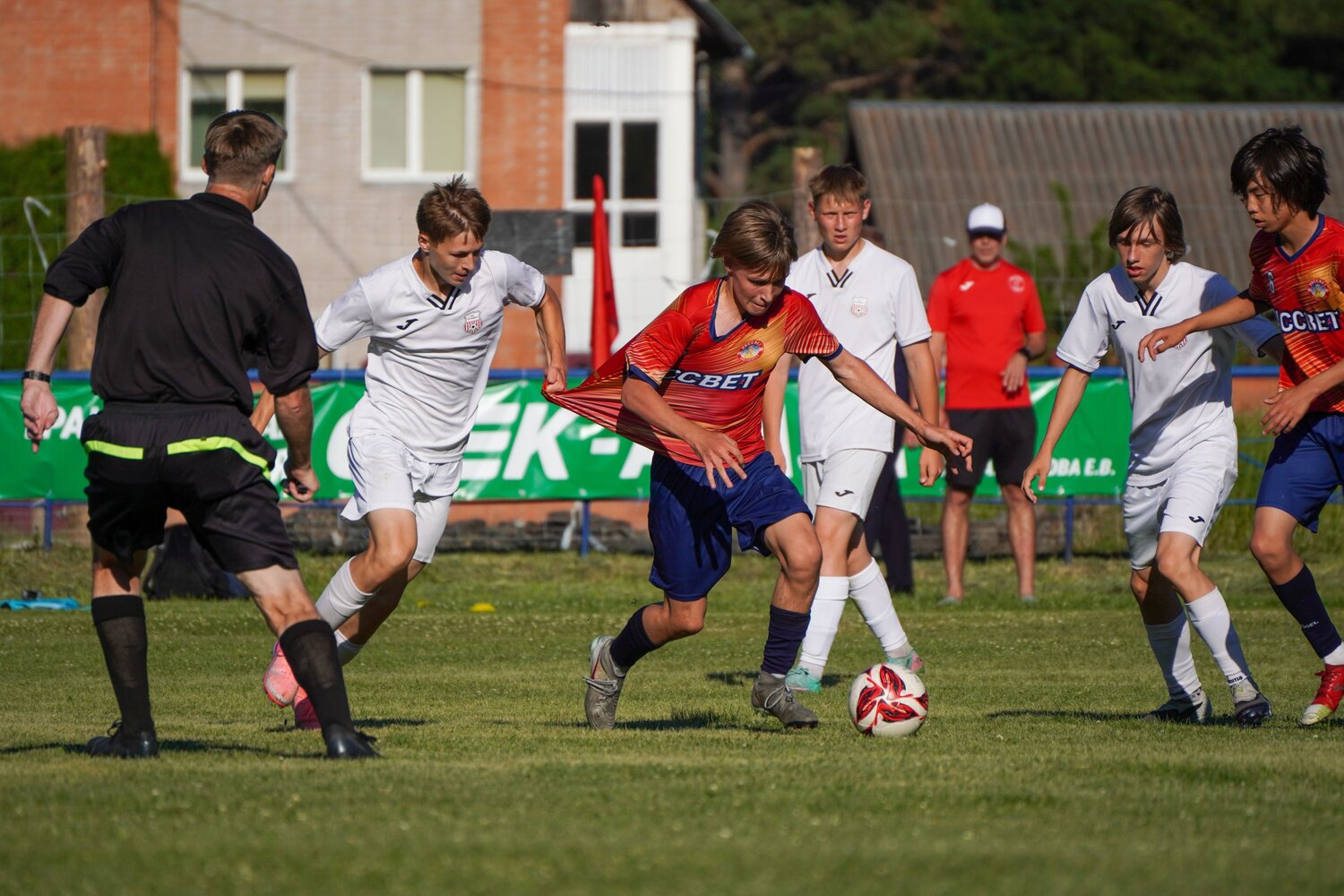 Photo #13822023