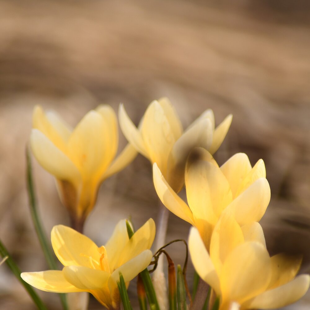 Photograph by Евгений Климов