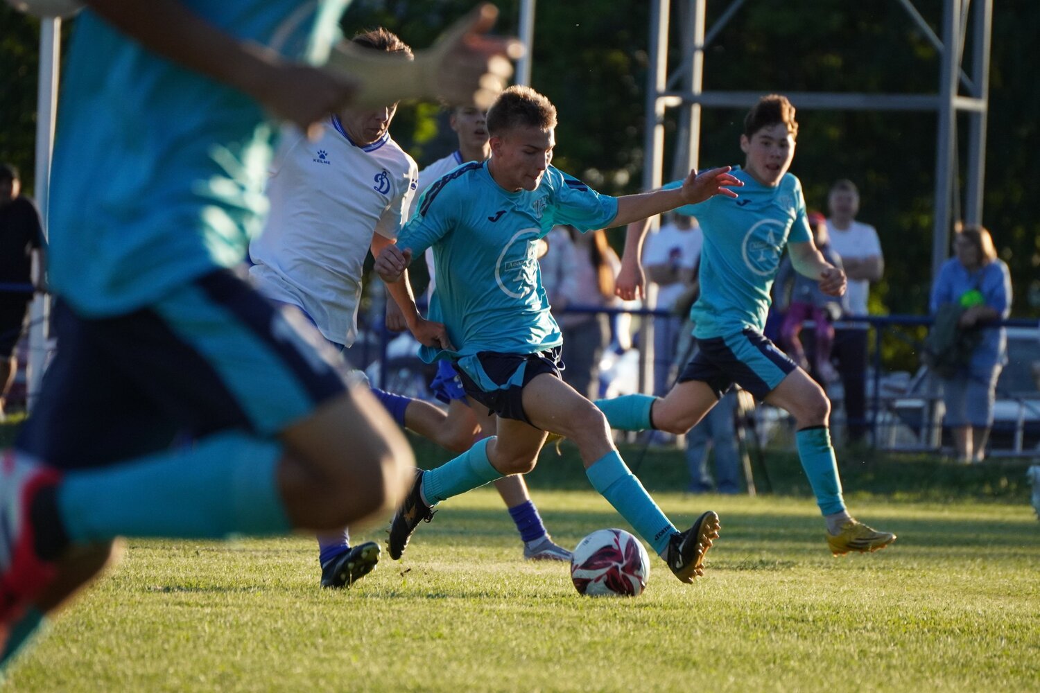 Photo #13822028