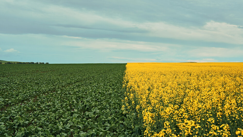 Photograph by Дядич Виталий