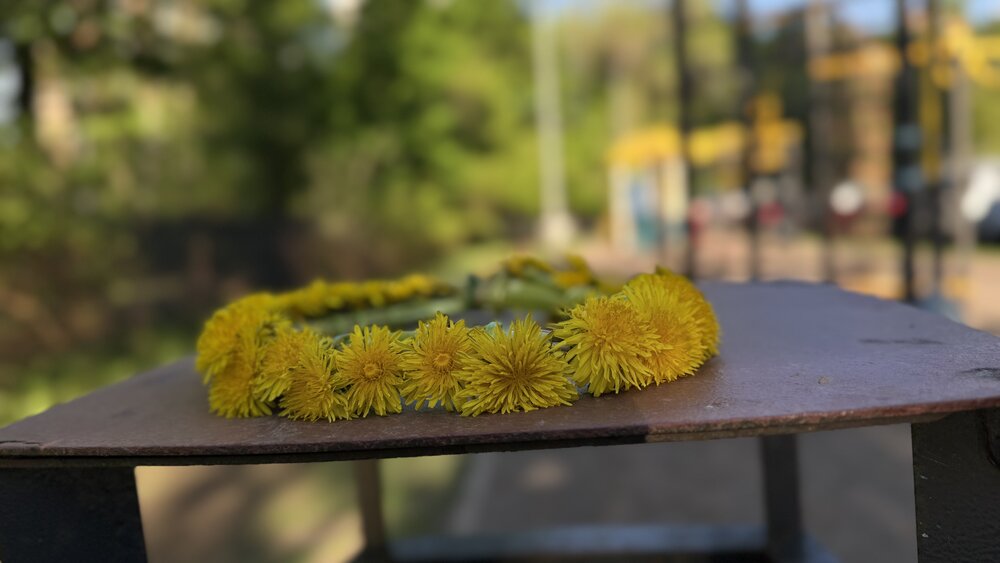Photograph by Ольга Столярова