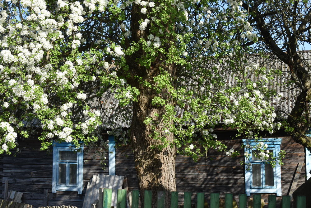 Photograph by Татьяна Зиновенко