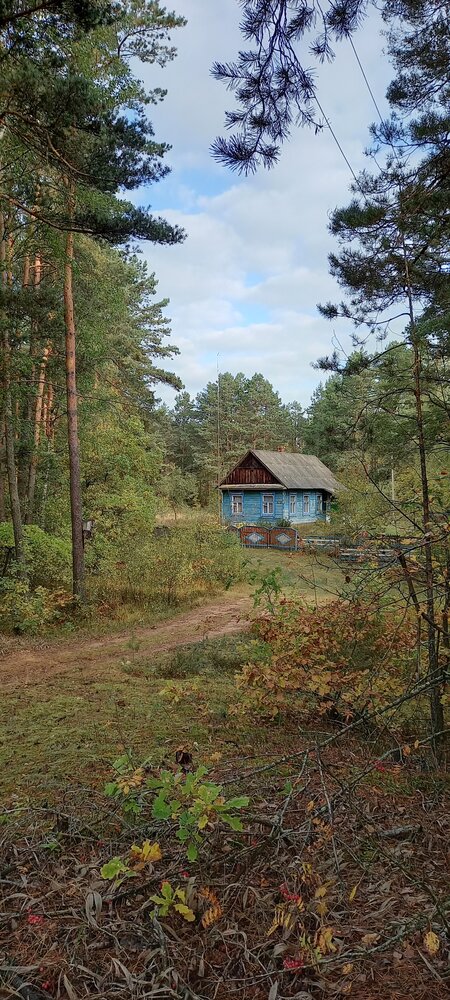 Photograph by Татьяна Зиновенко