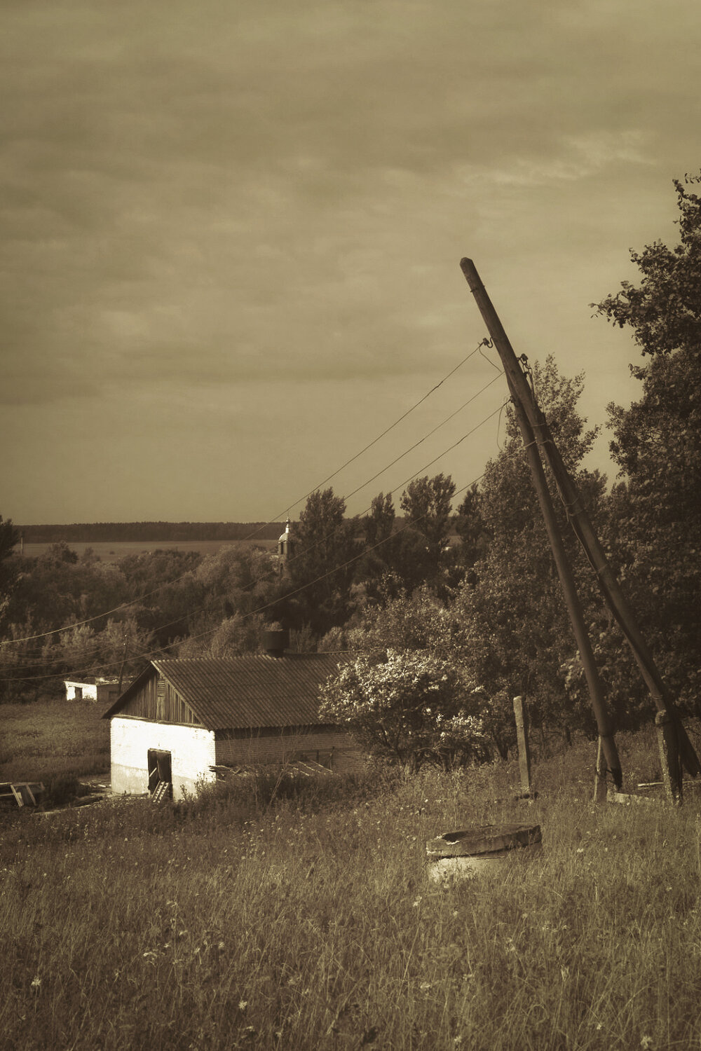 Photo #13822180
