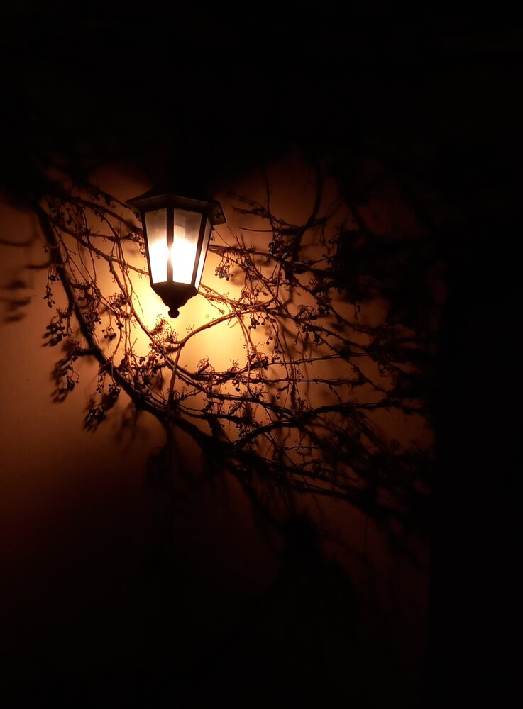 Photograph by Татьяна Зиновенко