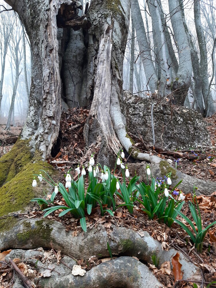Photograph by Галина Глазкова