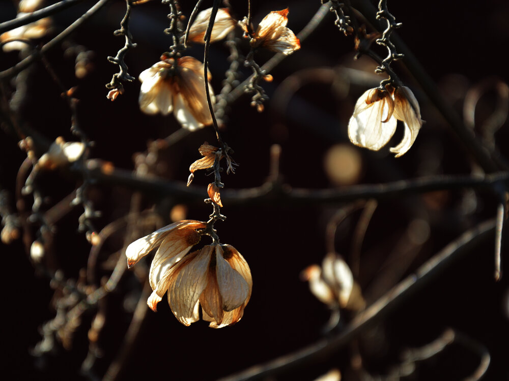 Photograph by Анжелика