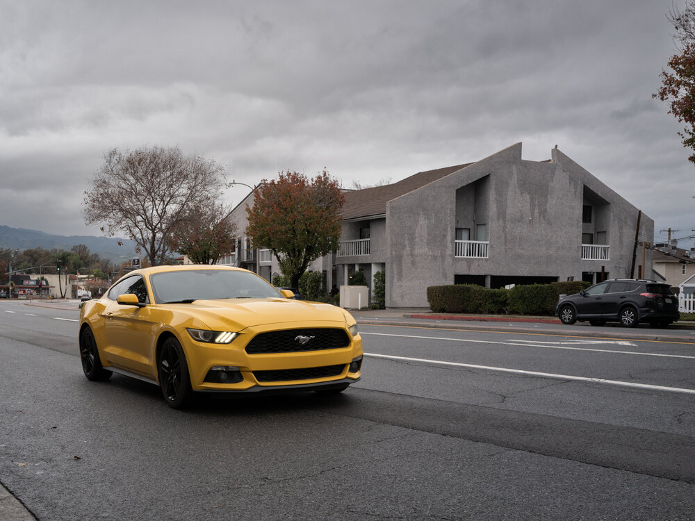 Photo #13822467
