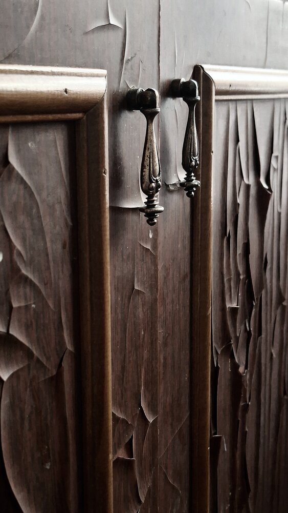 Photo #13822472