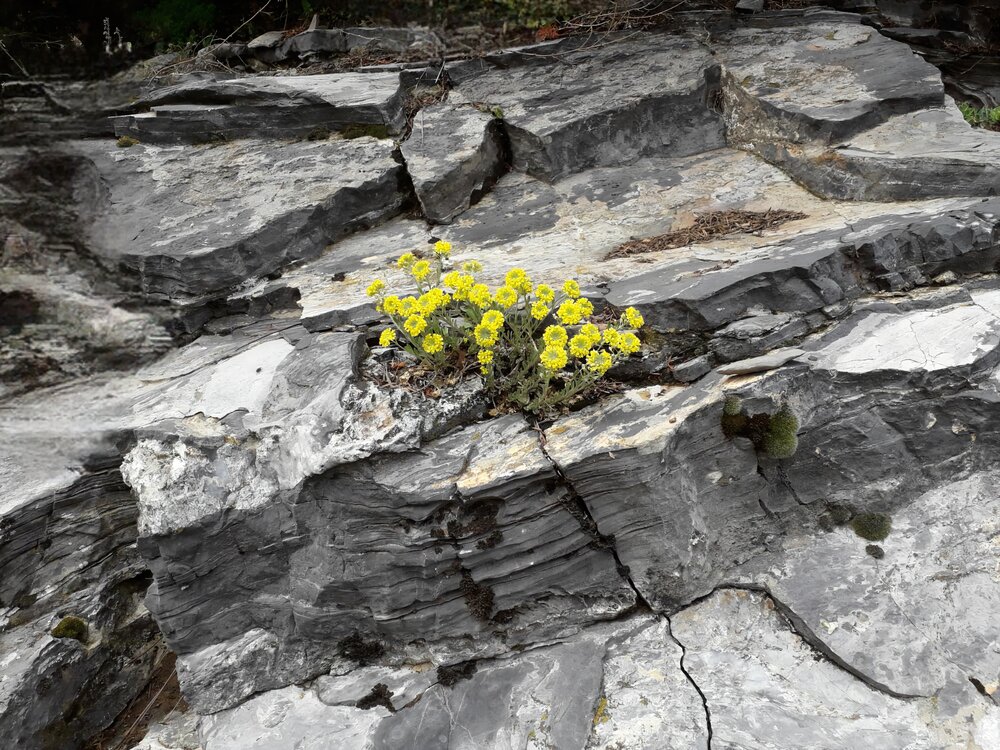 Photograph by Ольга Кузнецова