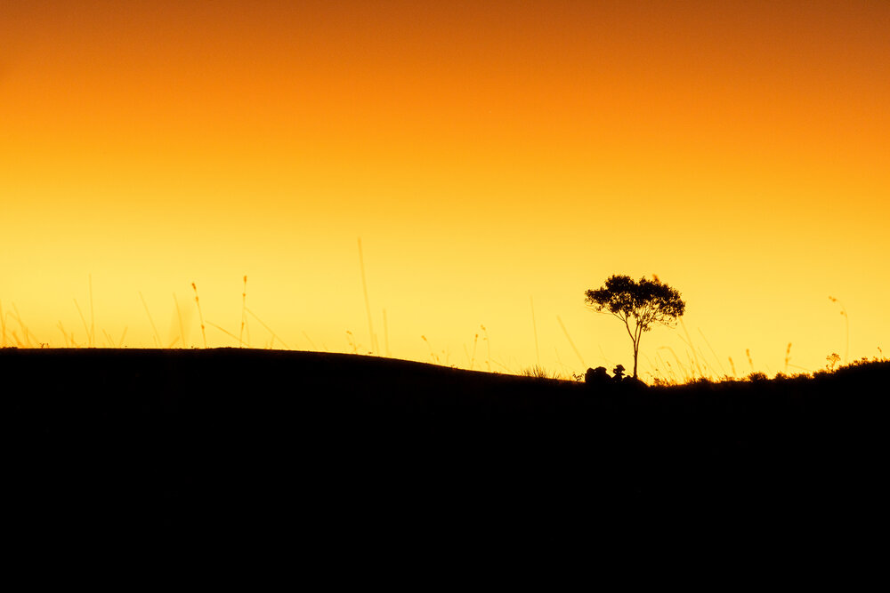O perfil no por do sol