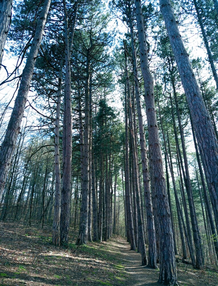 Photograph by Мила