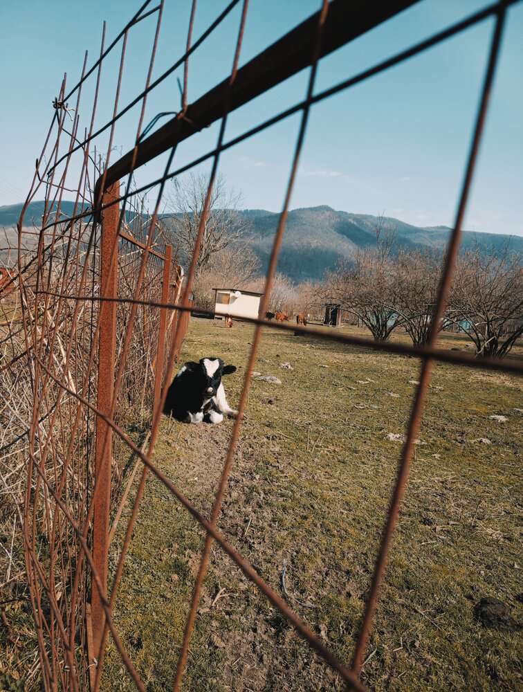Photograph by Мила