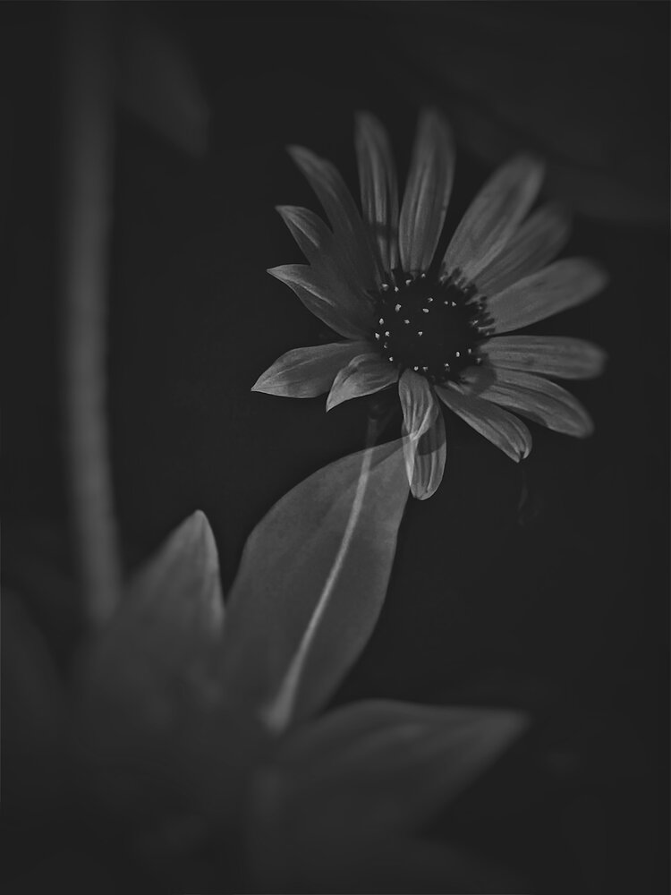 Фотография автора Динара