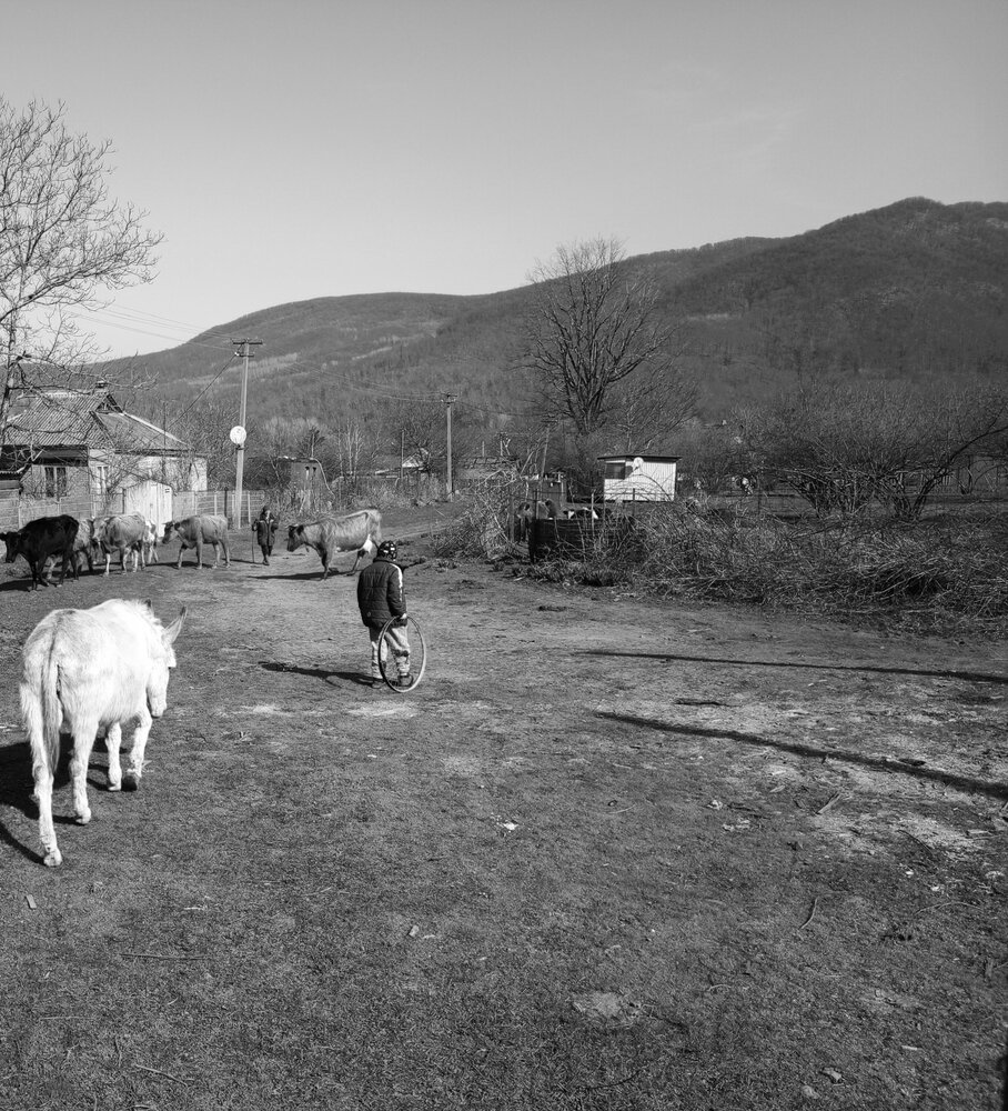 Photograph by Мила