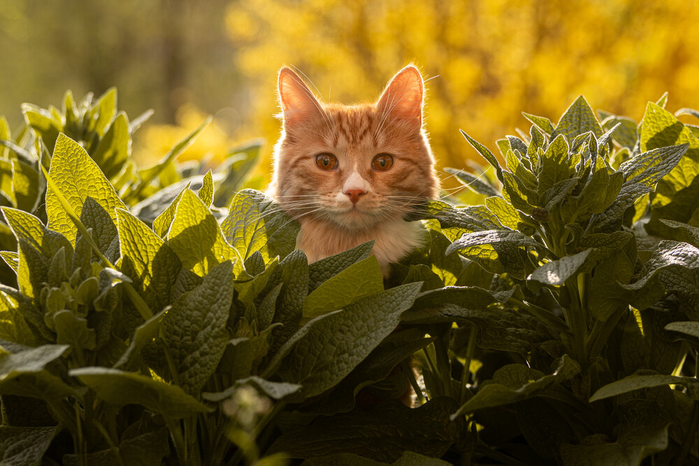 Photograph by Dina Damotseva
