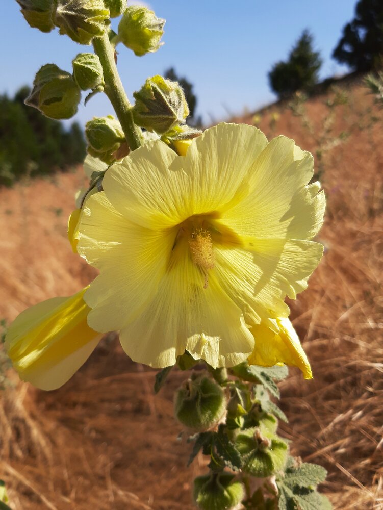 Photograph by Галина Глазкова