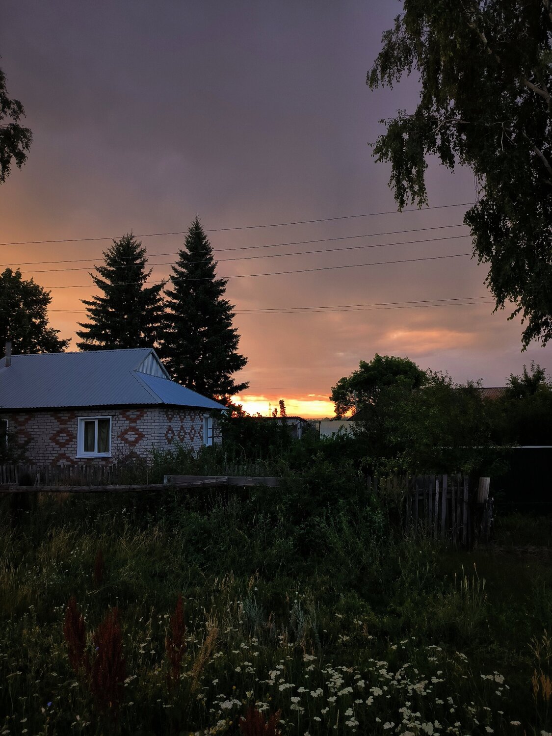 Photo #13822717