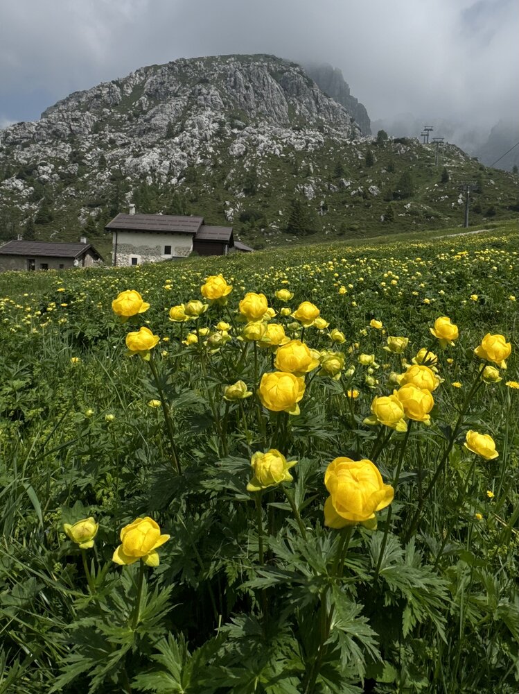 Photograph by Наталья Вавилова