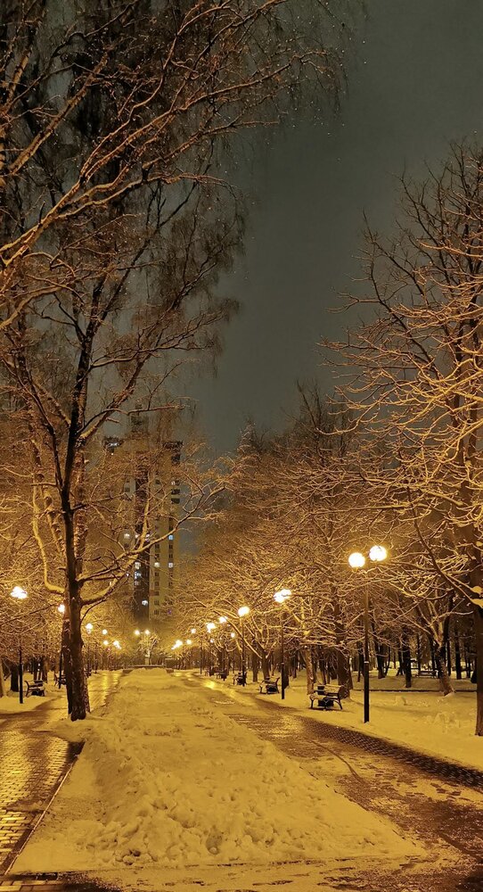 Тишина