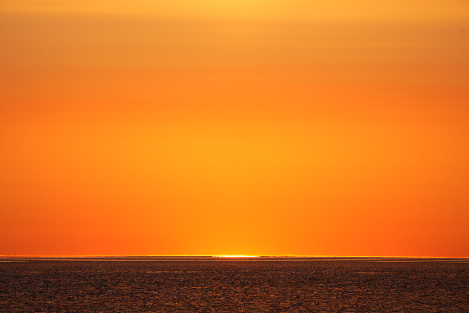 Photo #13822756
