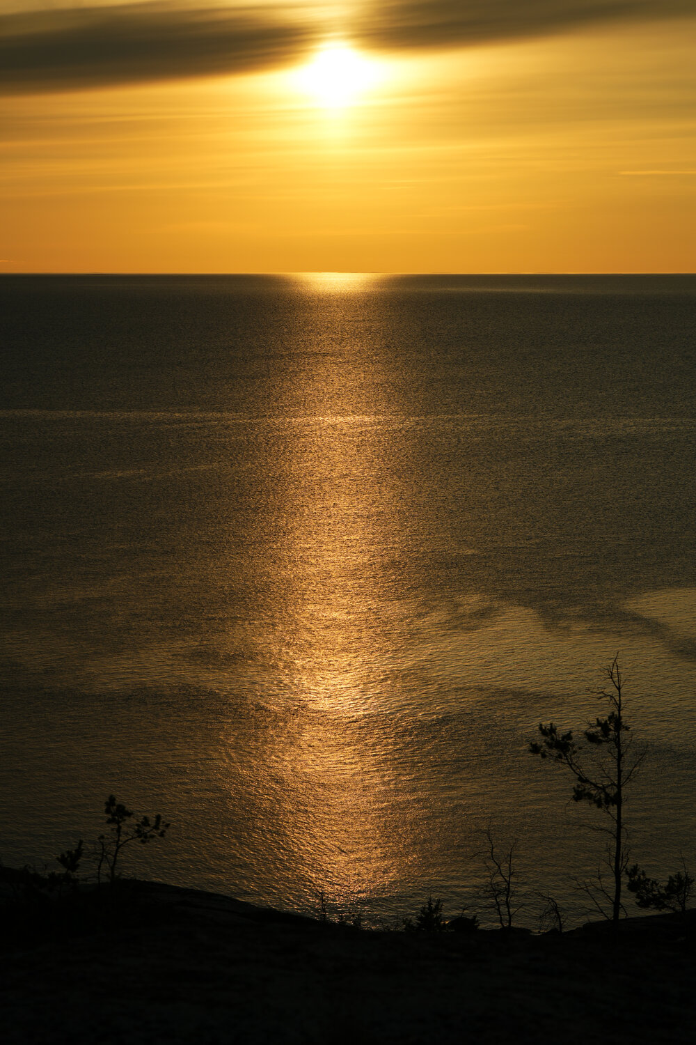 Photo #13822757