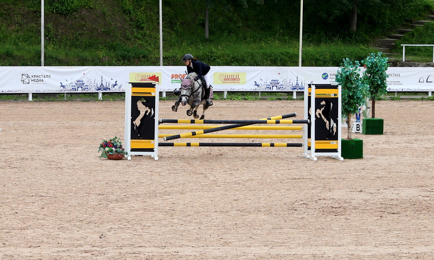 Photo #13822803