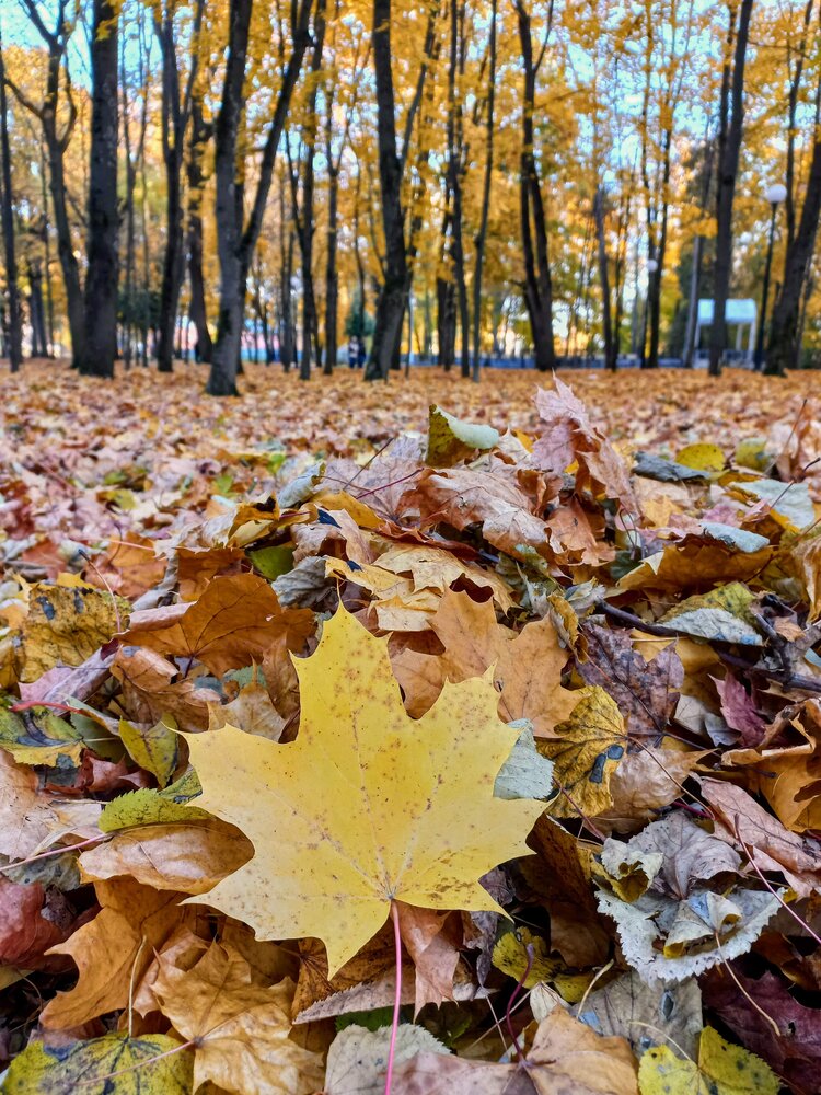 Фотография автора Любовь Филиппова