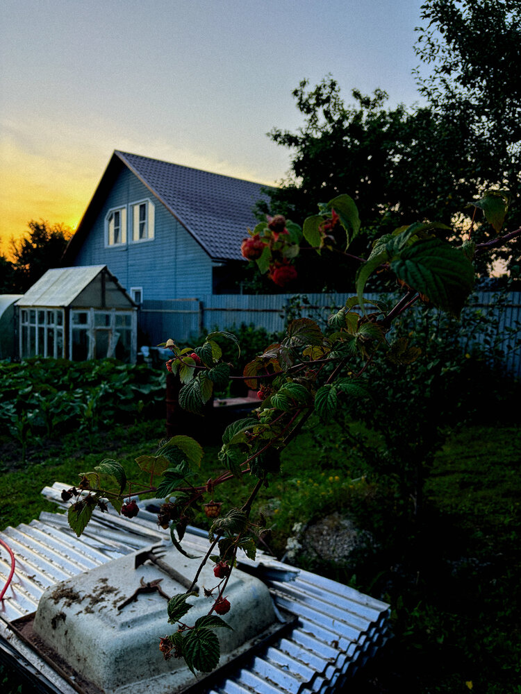 Photo #13822950
