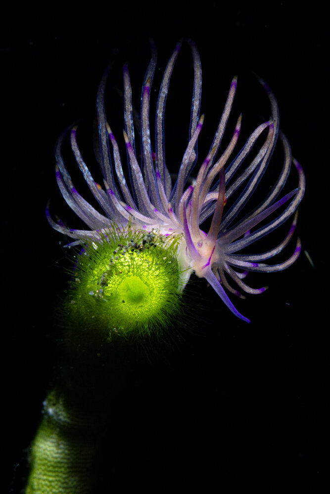 Фотография автора Deniz muzaffer Gokmen