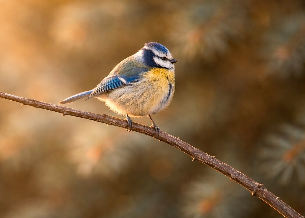 Photograph by Тамара Вотинцева