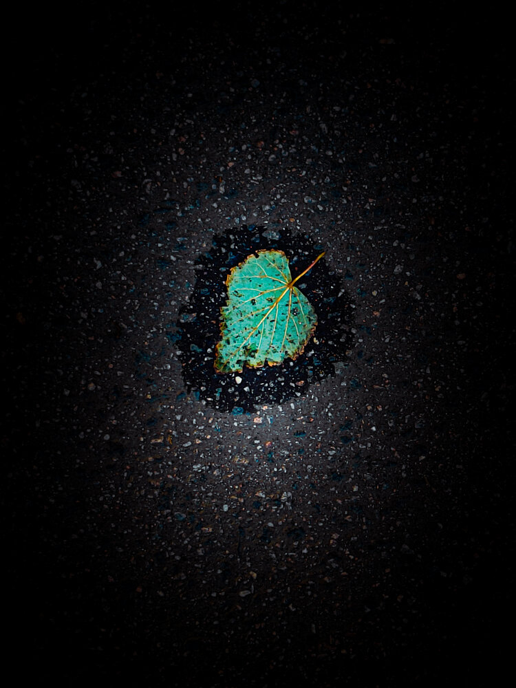 Photograph by Лариса Лысенко