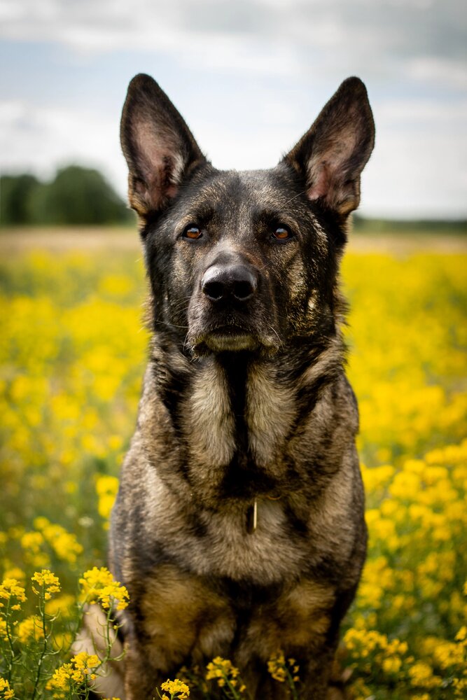 Photograph by Александра Чеканова