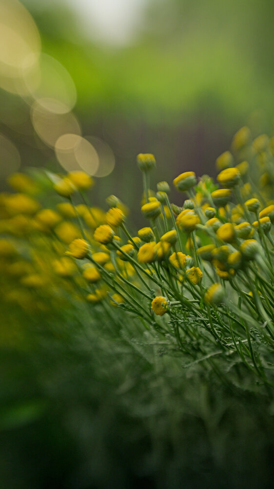 Photograph by Liubomyr Iasin