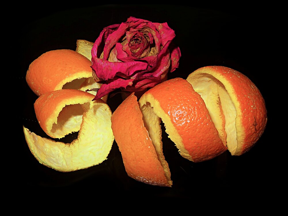 Still life iin a black background