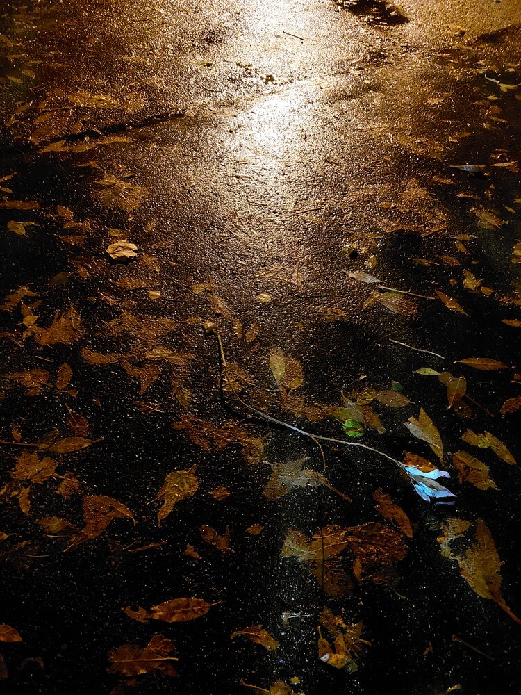 Photograph by Павел Алексеев