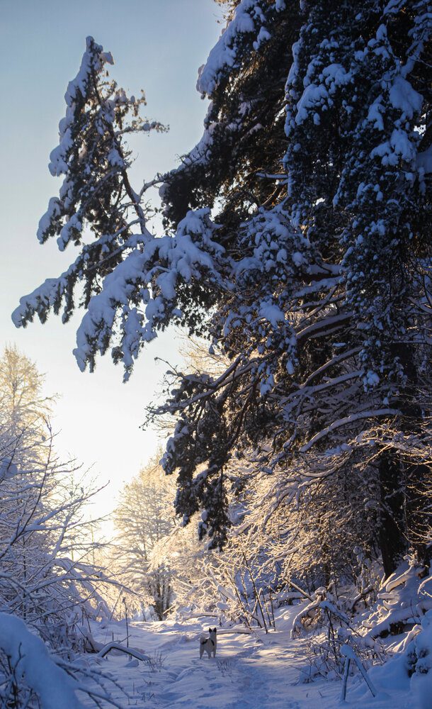 Фотография автора Ольга Горская