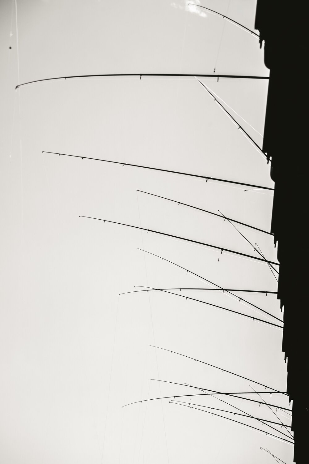 Photo #13823112