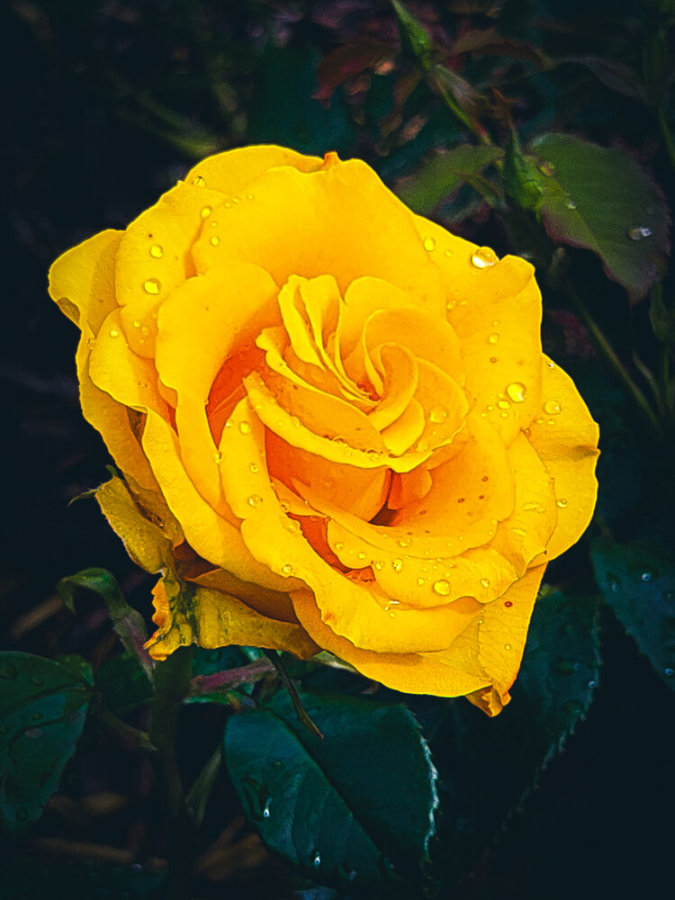 Photograph by Лариса Лысенко