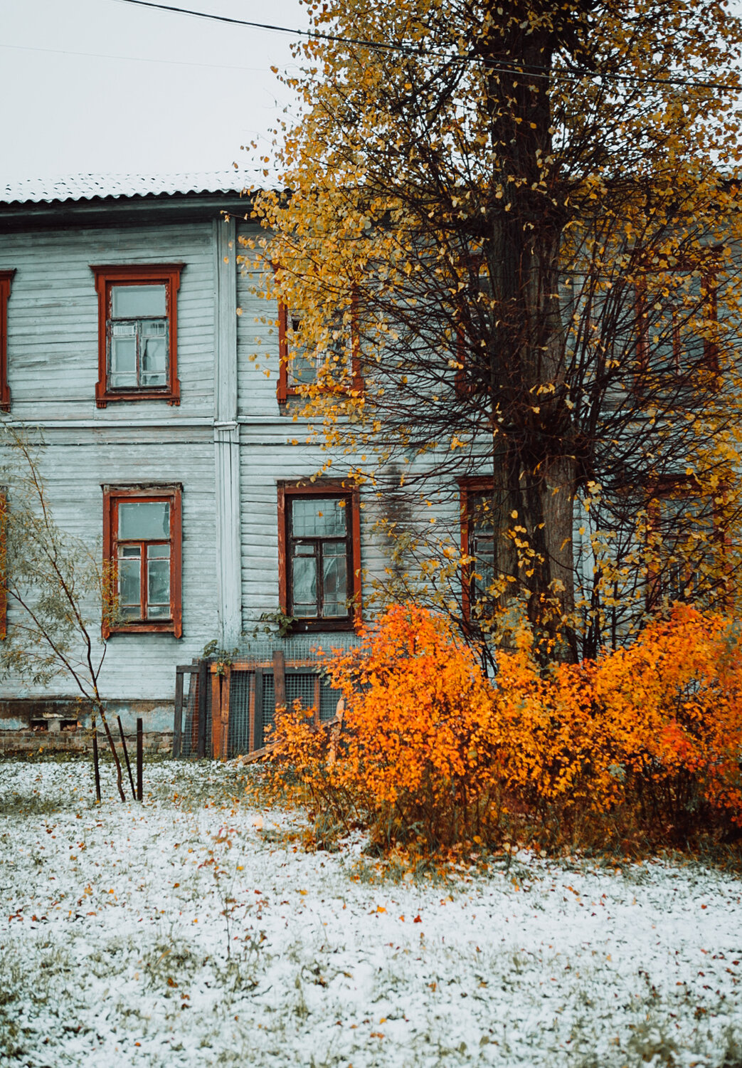Photo #13823152